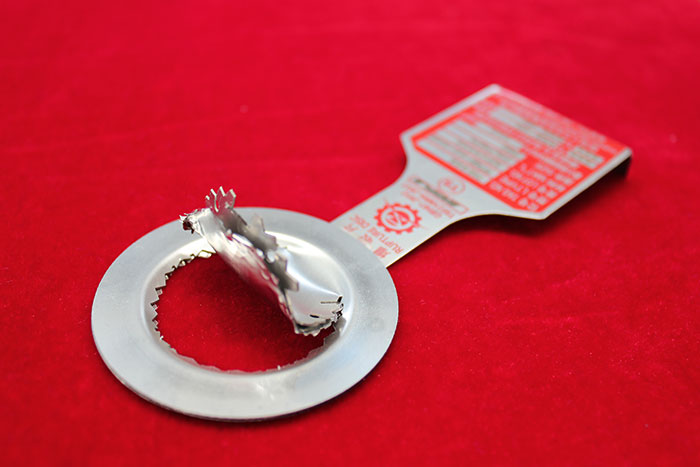 Rupture Disc